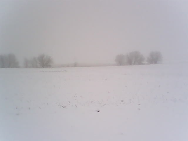 still more snow in the fog